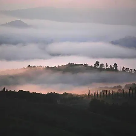 Al Brunello